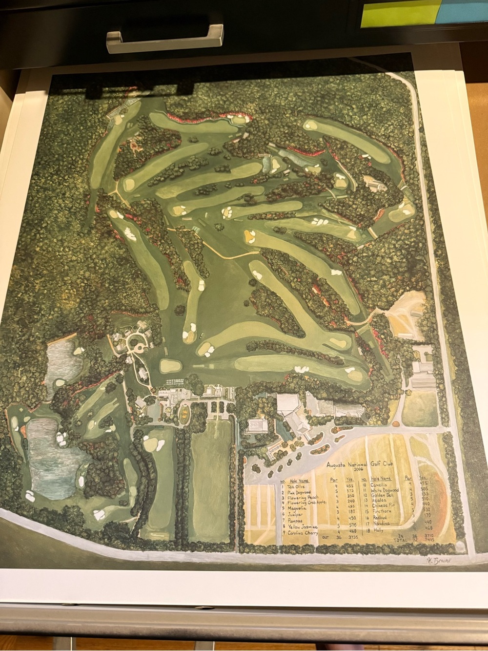Framed Golf Course Aerial Art Print in Green
